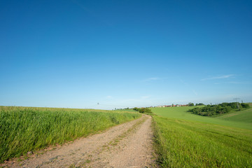 Fototapeta na wymiar dirty road in summer green field
