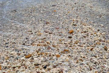 Coral Pebbles on the Seashore swept away by sea water