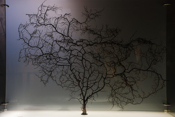 Bonsai tree fractal backlit in low light. - 331658025