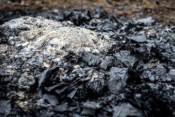 Extinct fire on the grass.
