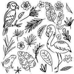 Set of abstract simple line doodle hand draw tropical jungle leaves and birds. Vector isolated elements. Tropical flat design with particle texture. Tropical elements illustration. Clipart
