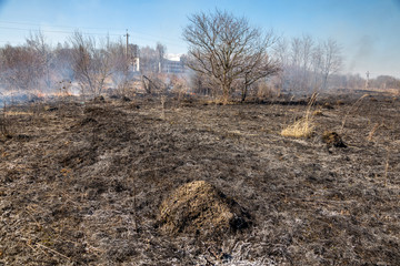 Dry grass fire in the steppe. Burning dry grass in the spring.