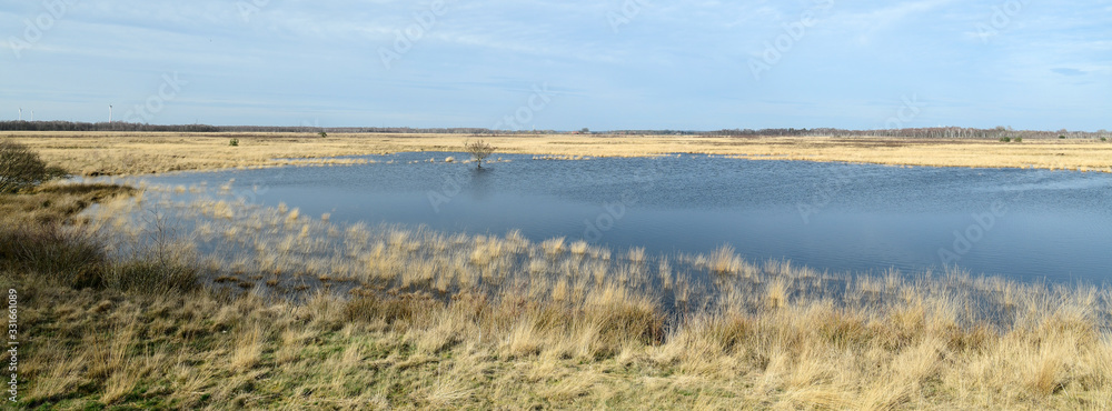 Sticker Bogland in Germany - Oppenweher Moor (Diepholzer Moorniederung)