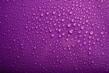 Water drops on purple background
