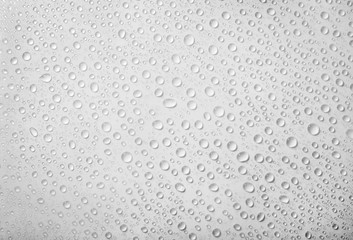 Water drops on white background