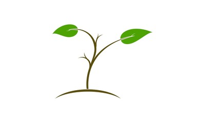 Plant simple vector