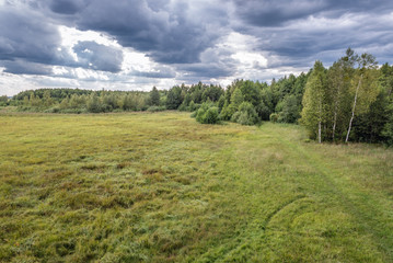 Aerial view on a Lawki Swamp in Biebrza National Park near Stojka village, Podlasie region of Poland