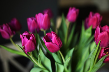 beautiful Purple Tulip flowers on the table in the kitchen. Greeting card. selective focus