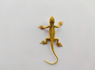 toy lizard on a white background-a symbol of mobility, agility, elusiveness, and rebirth