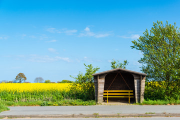 Heute ist Frühlingsanfang, Impressionen dieser herrlichen Jahreszeit