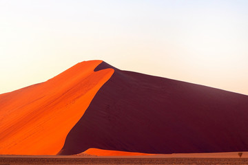 Fototapeta na wymiar The famous 45 red sand dune in Sossusvlei. Africa, Namib Desert