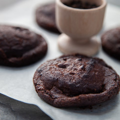Freshly baked chocolate cookies