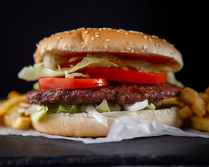 Tasty burger with tomatoes and lettuce