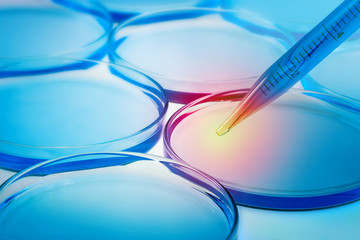 close up of petri dishes and pipette, chemistry laboratory equipment