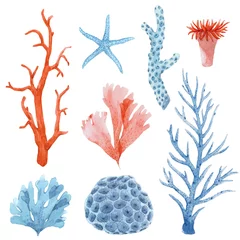 Foto auf Alu-Dibond Beautiful set with underwater watercolor sea life stock illustrations. © zenina