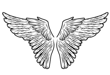 Two bird wings owl eagle angel or hawk
