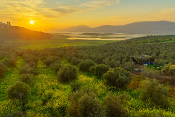 Sunset view of the Netofa Valley