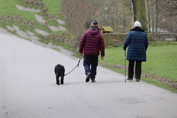 adults dressed for cold weather dog walking in a park