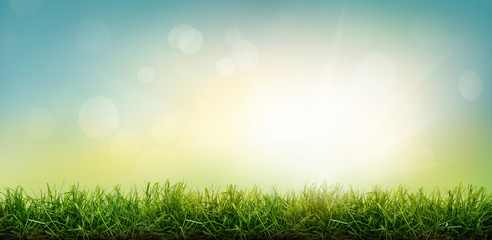 A sunny spring Easter morning sunrise background with a fresh green grass foreground.
