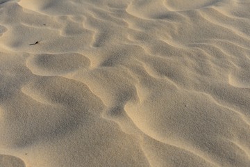 Dibujos de ondas irregulares sobre la arena