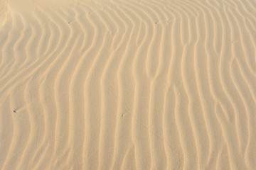Fototapeta na wymiar Textura de ondas regulares sobre la arena