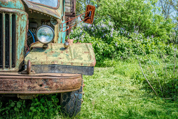 Fototapeta na wymiar Old rusty truck on the green spring rural field