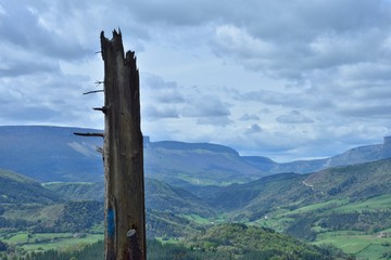 Tronco de pino quebrado con paisaje nuboso