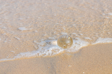 夏の海水浴場の砂浜にある透明な水晶ガラスボール