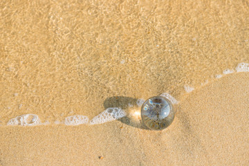 Fototapeta na wymiar 夏の海水浴場の砂浜にある透明な水晶ガラスボール