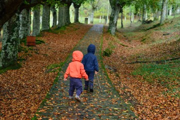 Fototapeta na wymiar Dos niños con chubasqueros de colores corriendo por un sendero en un bosque de robles en otoño