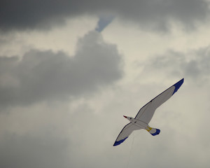 Cometa simulando una gaviota contra un cielo gris y nuboso