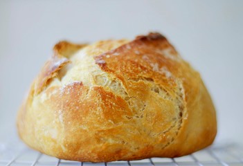 bread on white background
