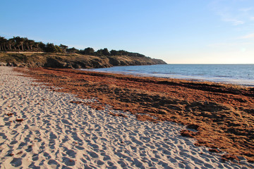 beach at saint-gildas-du-rhuys (brittany) in france 