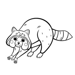 Coloring page outline of cute cartoon raccoon. Vector image isolated on white background. Coloring book of forest wild animals for kids