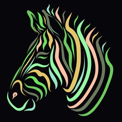 colorful zebra on a black background, striped head