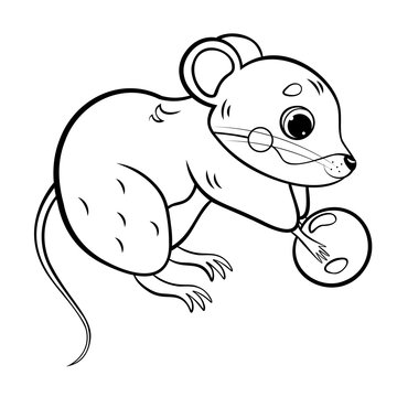 Coloring page outline of cute cartoon forest vole or mouse. Vector image isolated on white background. Coloring book of forest wild animals for kids