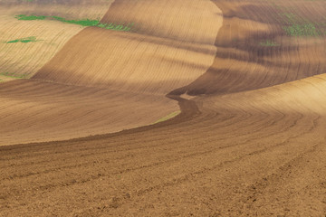 Naklejka premium Beautiful rolling landscape of Moravian Tuscany near Mistrin in the Czech Republic. You can see the fields and meadows on which the grain begins to green.