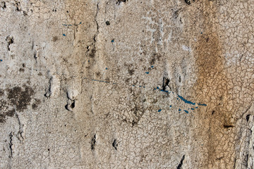 old white wooden, close up of wall made of wooden planks, wood table, abandoned wood
