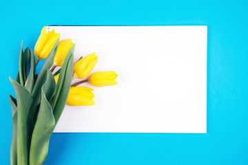 A bouquet of tulips and a white leaf on a blue background