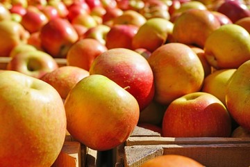 Fresh red and yellow apples at a farmers market