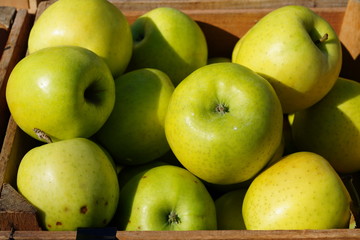 Fresh red and yellow apples at a farmers market