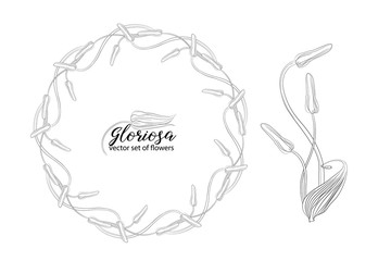 vector set of flowers and beads glorasa Gloriosa