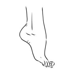 silhouette of female bare feet sketch