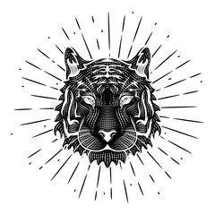 Tiger head. Vector illustration with a Tiger head and divergent rays