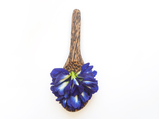 blue pea butterfly flower in wood spatular use as ingredient hair conditioner and treatment product and help hair to be black and food coloring ,including is a medicine herb use for health care.