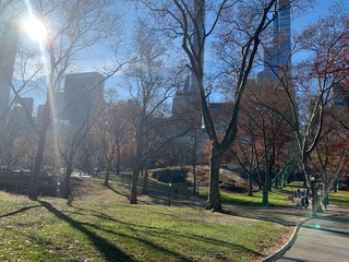 Obraz premium Central Park New York landscape 