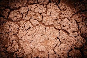 Desert ground texture