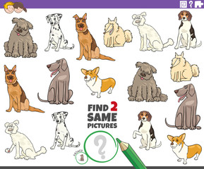 find two same purebred dogs game for kids