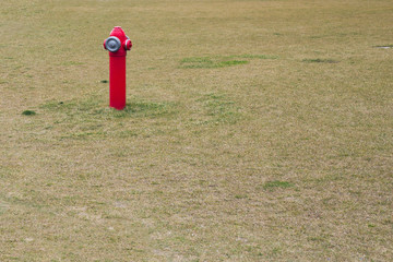 Red fire hydrant on a green lawn