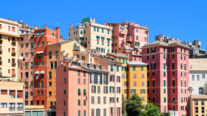 Fototapeta na wymiar apartment colored buildings in genoa city in italy